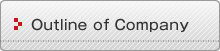 Outline of Company