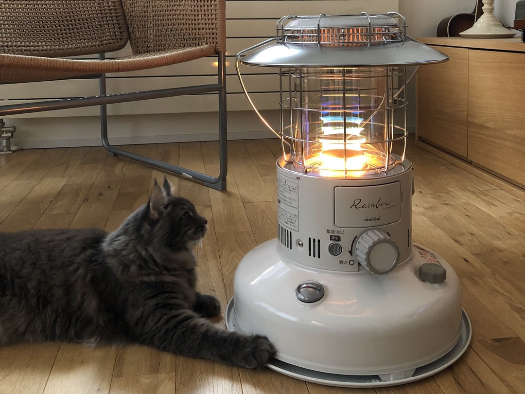 あたたかさに誘われて。ここがいちばんの特等席。